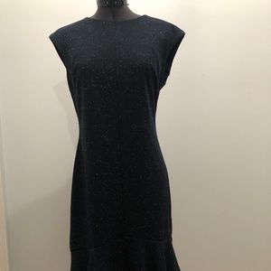 Ann Taylor NWT 4P Dress Fishtail Hem